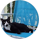 Linda Lanoue profile picture